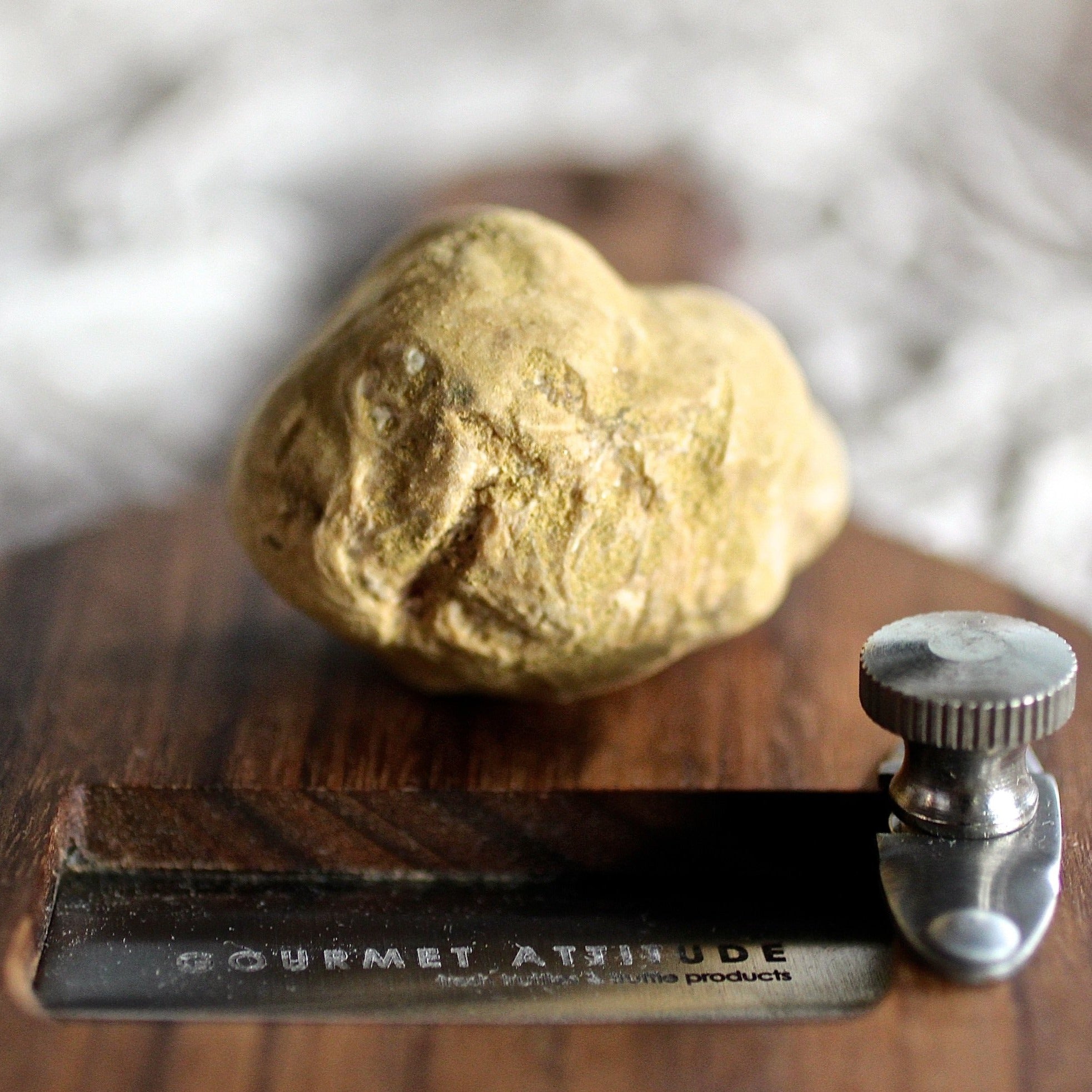 Fresh White Truffles Tuber Magnatum Pico